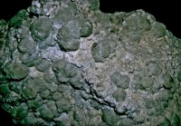 /album/galerie-photos/baigorry-p1-prehnite-6307-mod2-jpg1/